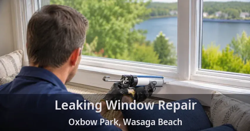 Leaking Window Repair Oxbow Park, Wasaga Beach - ON